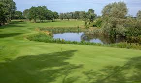 Green met vlag aan het water op golfbaan Sluispolder