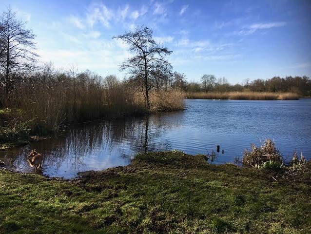 S. van Bruggum tijdens de GVB-cursus bij De Hoge Dijk